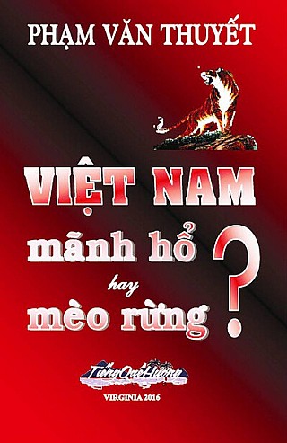 Việt Nam, Mãnh Hổ Hay Mèo Rừng ?